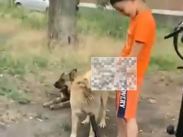 В Шахтах сняли на видео издевательство мальчика над собакой