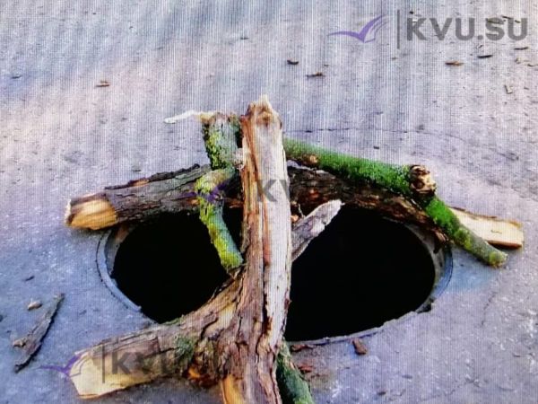 Фото: Александр Титов